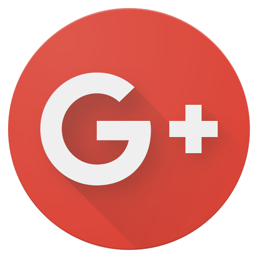 icon google